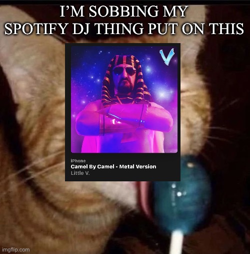 silly goober 2 | I’M SOBBING MY SPOTIFY DJ THING PUT ON THIS | image tagged in silly goober 2 | made w/ Imgflip meme maker