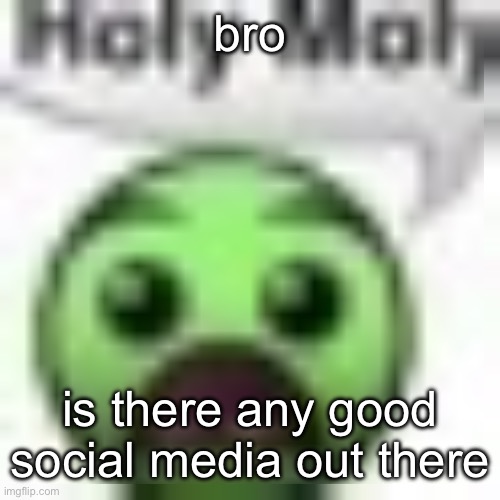 holy moly | bro; is there any good social media out there | image tagged in holy moly | made w/ Imgflip meme maker