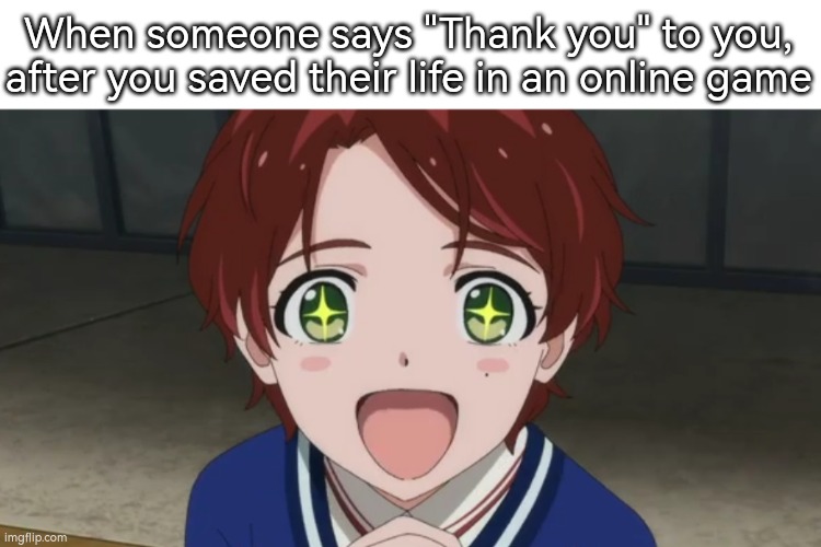 It was totally worth it. | When someone says "Thank you" to you, after you saved their life in an online game | image tagged in wholesome,online gaming,thank you,saved | made w/ Imgflip meme maker