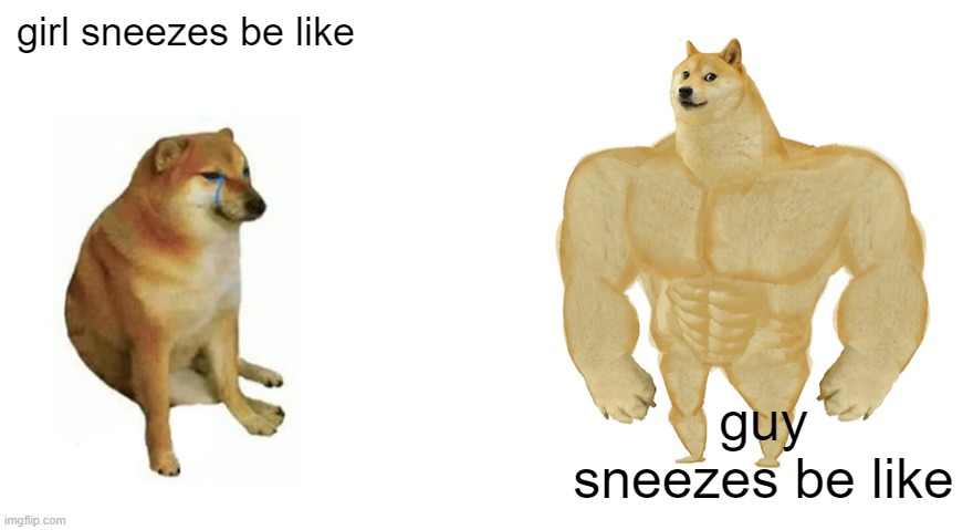 wut am i doing with my life | girl sneezes be like; guy sneezes be like | image tagged in swole doge vs cheems flipped | made w/ Imgflip meme maker