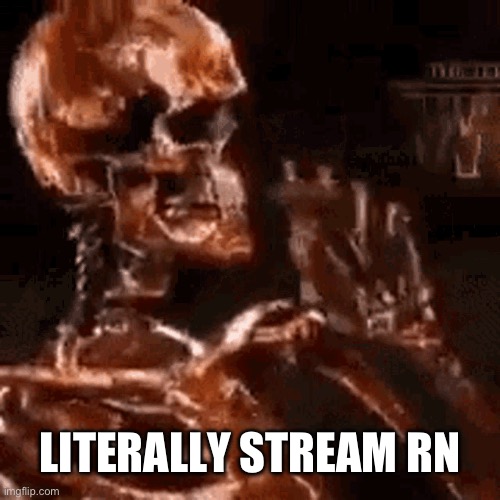 Skeleton smoking a fat one | LITERALLY STREAM RN | made w/ Imgflip meme maker