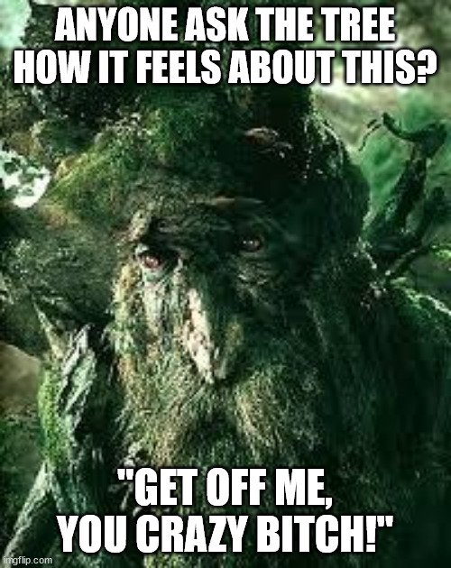 Sad Treebeard | ANYONE ASK THE TREE HOW IT FEELS ABOUT THIS? "GET OFF ME, YOU CRAZY BITCH!" | image tagged in sad treebeard | made w/ Imgflip meme maker