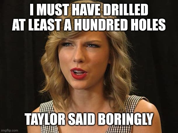 Taylor said boringly | I MUST HAVE DRILLED AT LEAST A HUNDRED HOLES; TAYLOR SAID BORINGLY | image tagged in taylor swiftie | made w/ Imgflip meme maker