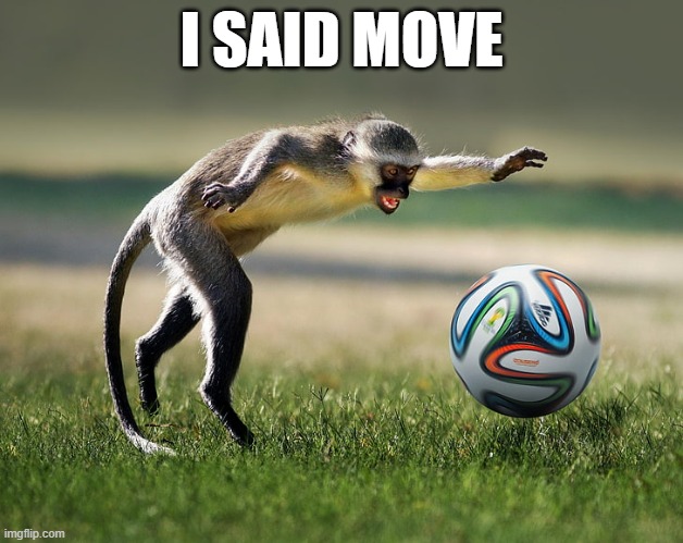 memes by Brad - Even monkeys like to play soccer | I SAID MOVE | image tagged in funny,fun,soccer,monkeys,funny meme,humor | made w/ Imgflip meme maker
