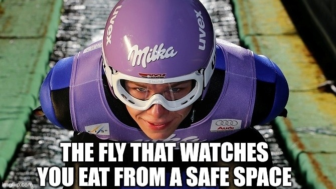 Skijumping | THE FLY THAT WATCHES YOU EAT FROM A SAFE SPACE | image tagged in skijumpingmemes | made w/ Imgflip meme maker