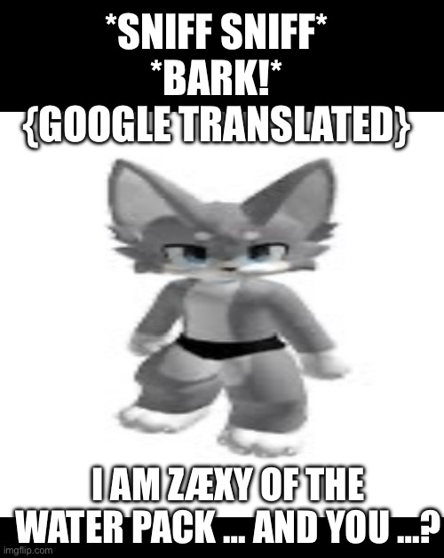 Top txt bottom txt | *SNIFF SNIFF* *BARK!* {GOOGLE TRANSLATED}; I AM ZÆXY OF THE WATER PACK … AND YOU …? | image tagged in lol | made w/ Imgflip meme maker