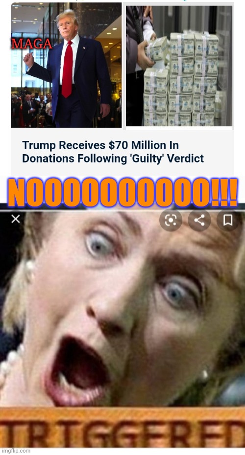 Sham Verdict Cash Cow = Xtra-Salty Liberal Tears | MAGA; NOOOOOOOOOO!!! | image tagged in trump 2020,crying democrats,stupid liberals | made w/ Imgflip meme maker