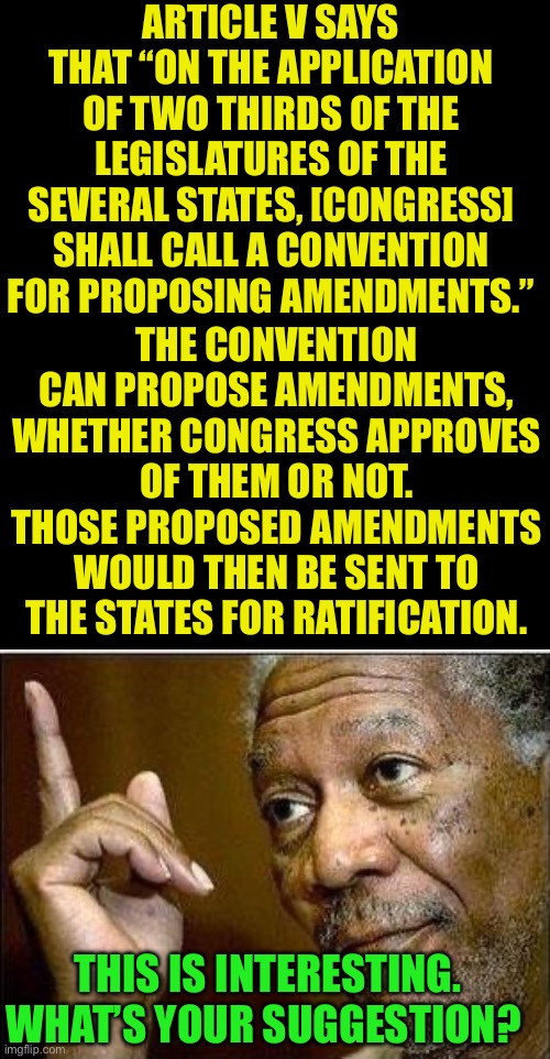 Time to invoke Article V of the Constitution? | ARTICLE V SAYS THAT “ON THE APPLICATION OF TWO THIRDS OF THE LEGISLATURES OF THE SEVERAL STATES, [CONGRESS] SHALL CALL A CONVENTION FOR PROPOSING AMENDMENTS.”; THE CONVENTION CAN PROPOSE AMENDMENTS, WHETHER CONGRESS APPROVES OF THEM OR NOT. THOSE PROPOSED AMENDMENTS WOULD THEN BE SENT TO THE STATES FOR RATIFICATION. THIS IS INTERESTING. WHAT’S YOUR SUGGESTION? | image tagged in we the people must cast out the america haters in our government,recourse for an incompetent corrupt government | made w/ Imgflip meme maker