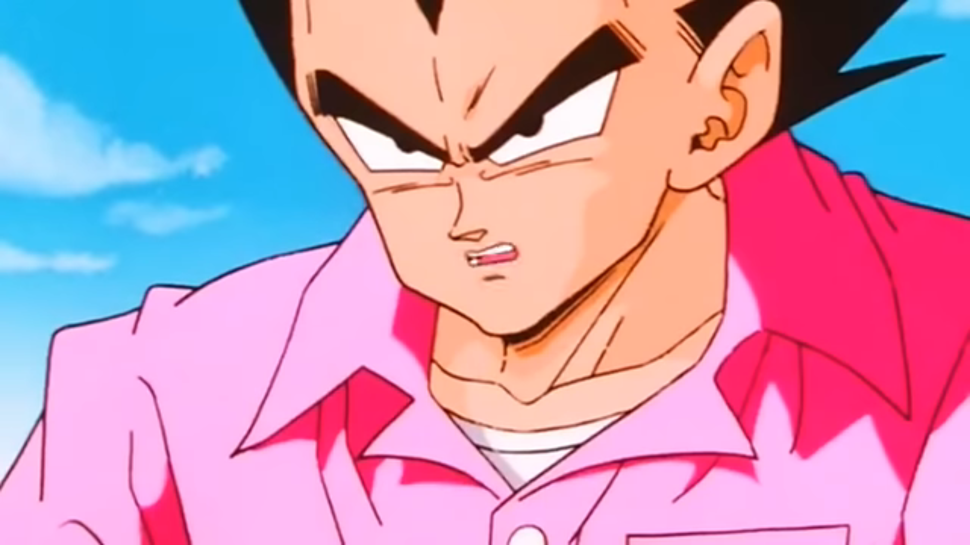 Vegeta pink shirt Blank Meme Template