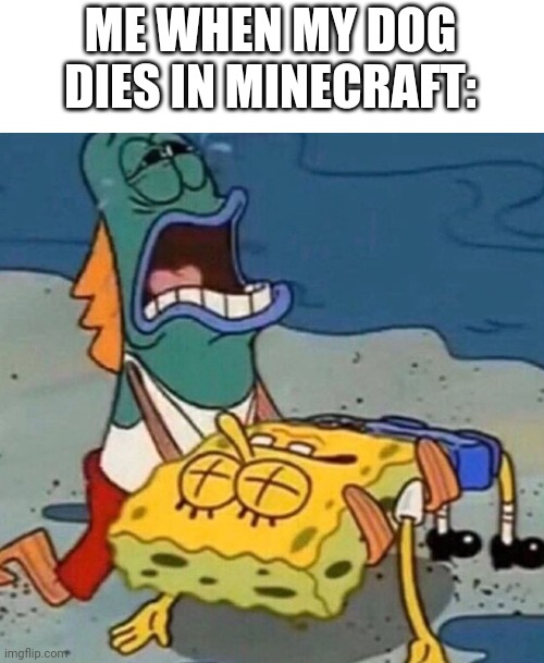 Crying Spongebob Lifeguard Fish | ME WHEN MY DOG DIES IN MINECRAFT: | image tagged in crying spongebob lifeguard fish,minecraft,dogs,dog,minecraft memes | made w/ Imgflip meme maker