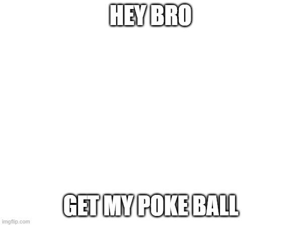 HEY BRO GET MY POKE BALL | made w/ Imgflip meme maker