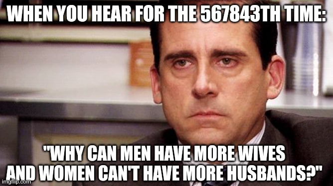 Why? | WHEN YOU HEAR FOR THE 567843TH TIME:; "WHY CAN MEN HAVE MORE WIVES AND WOMEN CAN'T HAVE MORE HUSBANDS?" | image tagged in annoyed,polygamy,polygyny,2 wives,the office,memes | made w/ Imgflip meme maker