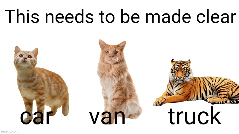 car | This needs to be made clear; car      van       truck | image tagged in cats,car,tiger | made w/ Imgflip meme maker