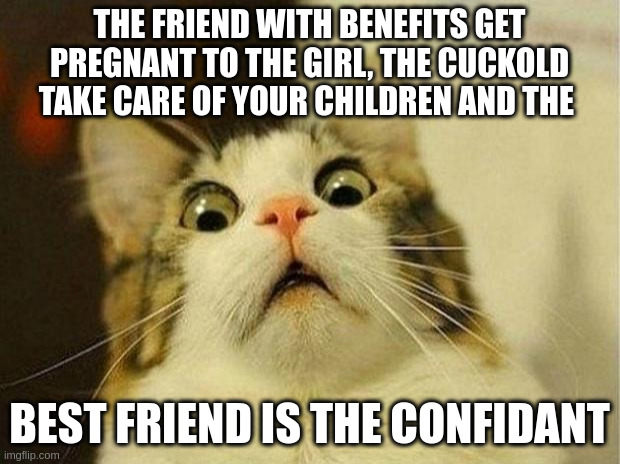 confidant | THE FRIEND WITH BENEFITS GET PREGNANT TO THE GIRL, THE CUCKOLD TAKE CARE OF YOUR CHILDREN AND THE; BEST FRIEND IS THE CONFIDANT | image tagged in memes,scared cat | made w/ Imgflip meme maker