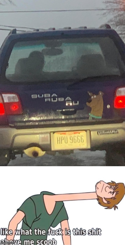 Scooby Subie | image tagged in what is this shit above me scoob,subaru,scooby doo | made w/ Imgflip meme maker
