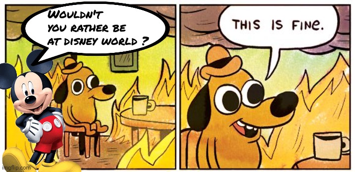 This Is Fine Meme | Wouldn't you rather be at disney world ? | image tagged in memes,this is fine | made w/ Imgflip meme maker