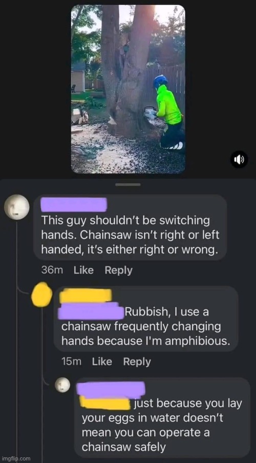 Chainsaw, Man | image tagged in chainsaw,amphibia | made w/ Imgflip meme maker