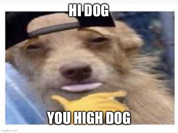 HI DOG; YOU HIGH DOG | made w/ Imgflip meme maker