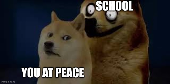 TRIBUTE TO DOGE | SCHOOL; YOU AT PEACE | image tagged in calm doge scary doge,funny,doge | made w/ Imgflip meme maker