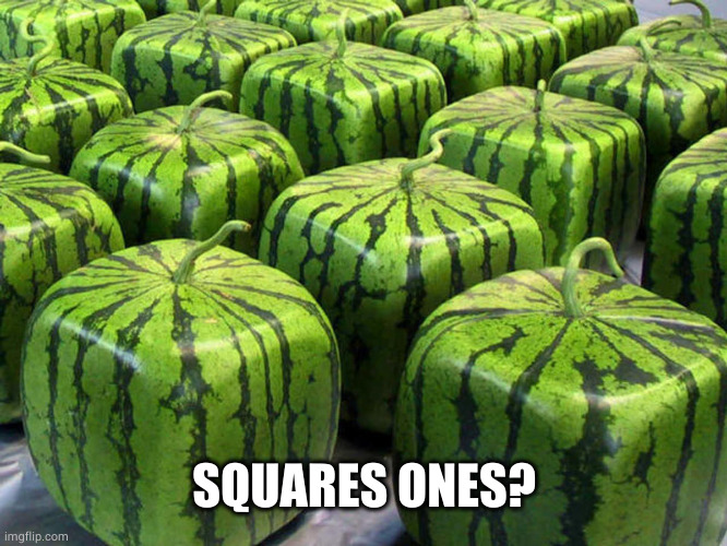 Minecraft Melons | SQUARES ONES? | image tagged in minecraft melons | made w/ Imgflip meme maker