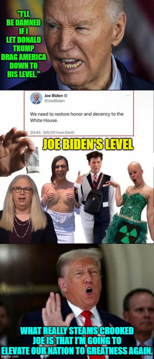 Anyone voting for Biden in November is stupid or uninformed or actively hates this nation. | "I’LL BE DAMNED IF I LET DONALD TRUMP DRAG AMERICA DOWN TO HIS LEVEL."; JOE BIDEN'S LEVEL; WHAT REALLY STEAMS CROOKED JOE IS THAT I'M GOING TO ELEVATE OUR NATION TO GREATNESS AGAIN. | image tagged in yep | made w/ Imgflip meme maker