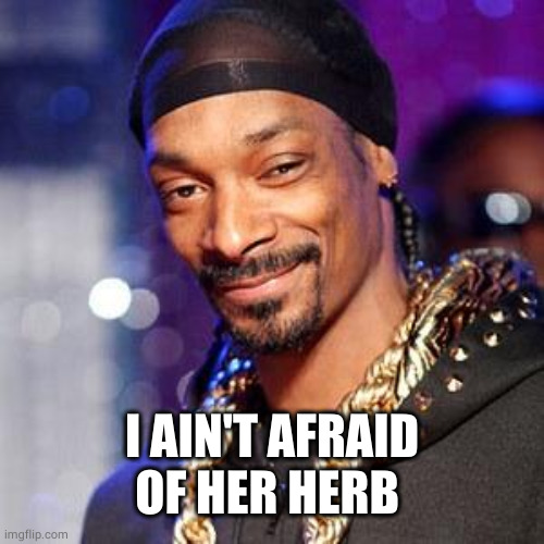 Snoop dogg | I AIN'T AFRAID OF HER HERB | image tagged in snoop dogg | made w/ Imgflip meme maker