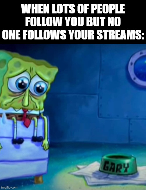 Gary Come Home | WHEN LOTS OF PEOPLE FOLLOW YOU BUT NO ONE FOLLOWS YOUR STREAMS: | image tagged in gary come home | made w/ Imgflip meme maker