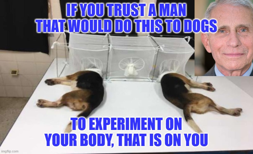 Jail Fauci for his dog torture | IF YOU TRUST A MAN THAT WOULD DO THIS TO DOGS; TO EXPERIMENT ON YOUR BODY, THAT IS ON YOU | image tagged in fauci beagles | made w/ Imgflip meme maker