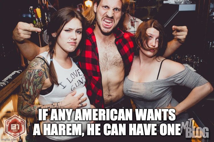 redneck bar | IF ANY AMERICAN WANTS A HAREM, HE CAN HAVE ONE | image tagged in redneck bar | made w/ Imgflip meme maker