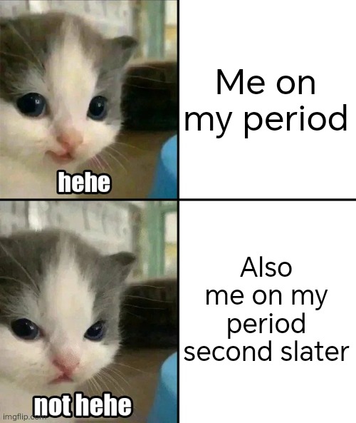 Cute cat hehe and not hehe | Me on my period; Also me on my period second slater | image tagged in cute cat hehe and not hehe | made w/ Imgflip meme maker