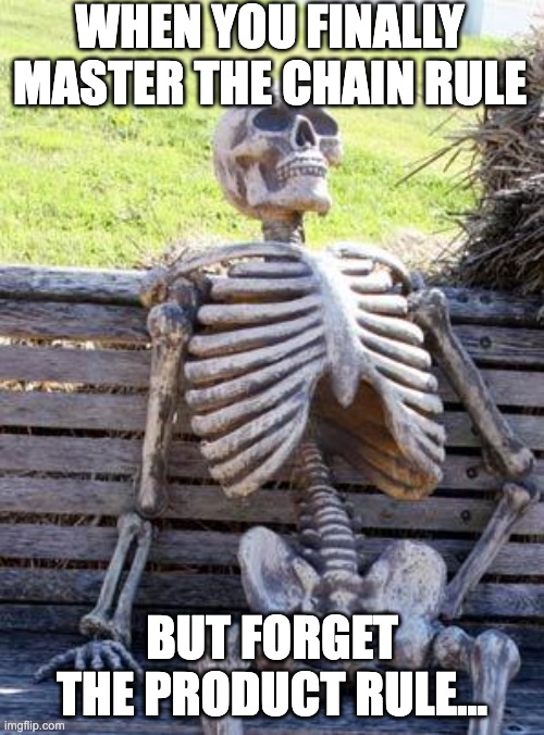 Waiting Skeleton Meme | WHEN YOU FINALLY MASTER THE CHAIN RULE; BUT FORGET THE PRODUCT RULE... | image tagged in memes,waiting skeleton | made w/ Imgflip meme maker