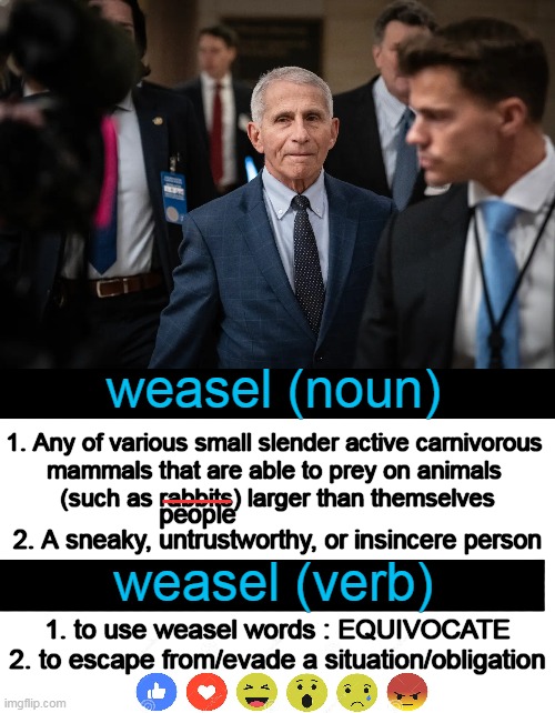 Dr. Anthony Fauci | weasel (noun); ___; 1. Any of various small slender active carnivorous 

mammals that are able to prey on animals 

(such as rabbits) larger than themselves; 2. A sneaky, untrustworthy, or insincere person; people; weasel (verb); 1. to use weasel words : EQUIVOCATE
2. to escape from/evade a situation/obligation | image tagged in dr fauci,weasel,money,over people,death,political humor | made w/ Imgflip meme maker