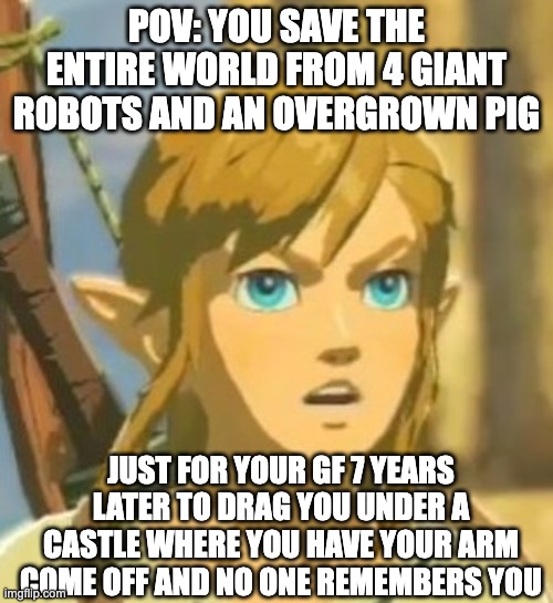 Offended Link | POV: YOU SAVE THE ENTIRE WORLD FROM 4 GIANT ROBOTS AND AN OVERGROWN PIG; JUST FOR YOUR GF 7 YEARS LATER TO DRAG YOU UNDER A CASTLE WHERE YOU HAVE YOUR ARM COME OFF AND NO ONE REMEMBERS YOU | image tagged in offended link | made w/ Imgflip meme maker