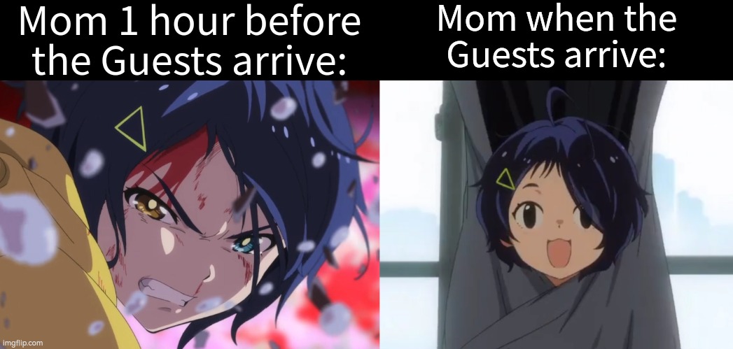 Luckily not every Mom. I guess. | Mom 1 hour before the Guests arrive:; Mom when the Guests arrive: | image tagged in memes,funny,mom,guest | made w/ Imgflip meme maker