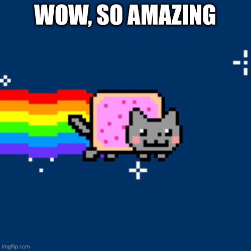 Meme | WOW, SO AMAZING; WAIT, HOW AM I FLYING? | image tagged in nayn cat | made w/ Imgflip meme maker