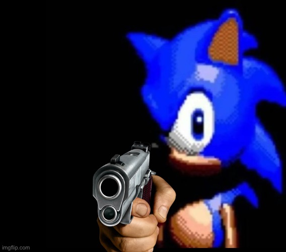 Sonic gun cuz you have sinned | image tagged in sonic stares | made w/ Imgflip meme maker