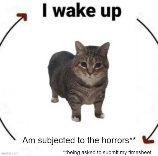 timesheet horrors | Am subjected to the horrors**; **being asked to submit my timesheet | image tagged in i wake up cat | made w/ Imgflip meme maker