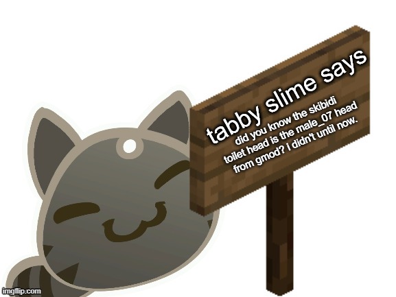 Tabby Slime Says | did you know the skibidi toilet head is the male_07 head from gmod? i didn't until now. | image tagged in tabby slime says | made w/ Imgflip meme maker