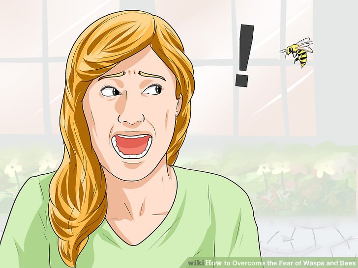 wikihow scary wasp Blank Meme Template