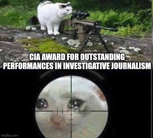 The special pulitzer prize | CIA AWARD FOR OUTSTANDING PERFORMANCES IN INVESTIGATIVE JOURNALISM | image tagged in cat sniper | made w/ Imgflip meme maker