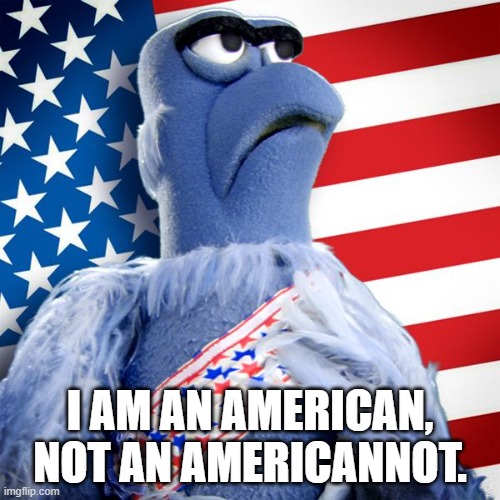 Sam The Eagle Is An American | I AM AN AMERICAN,
NOT AN AMERICANNOT. | image tagged in sam the eagle 2016,an american,patrotic,funny,meme,wordplay | made w/ Imgflip meme maker