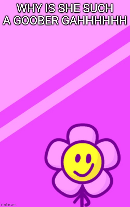 WHY IS SHE SUCH A GOOBER GAHHHHHH | made w/ Imgflip meme maker