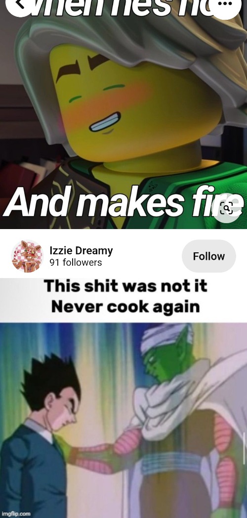 image tagged in this shit was not it never cook again | made w/ Imgflip meme maker