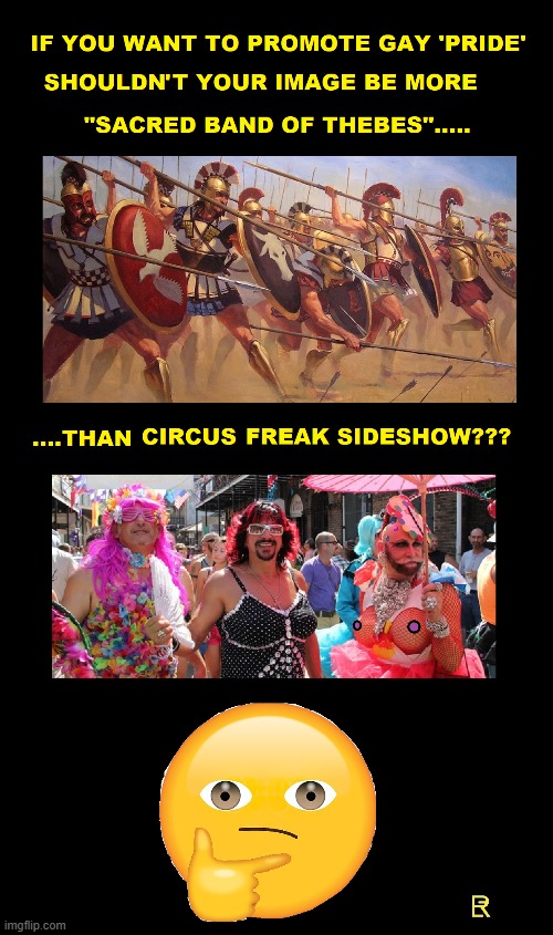 Strange Standard Bearers | image tagged in good idea/bad idea | made w/ Imgflip meme maker