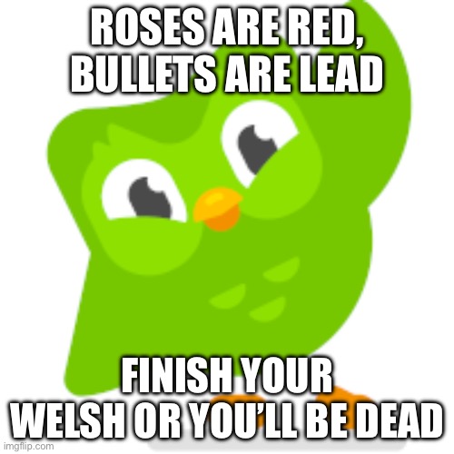 Duolingo memes | ROSES ARE RED, BULLETS ARE LEAD; FINISH YOUR WELSH OR YOU’LL BE DEAD | image tagged in duolingo memes,fun,funny,bird | made w/ Imgflip meme maker