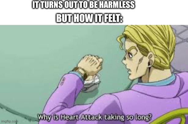 Why is Heart Attack taking so long? | IT TURNS OUT TO BE HARMLESS BUT HOW IT FELT: | image tagged in why is heart attack taking so long | made w/ Imgflip meme maker