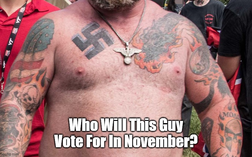 You Only Get One Chance, So Make It Count! | Who Will This Guy Vote For In November? | image tagged in swastika,voter,constituencies,gop | made w/ Imgflip meme maker