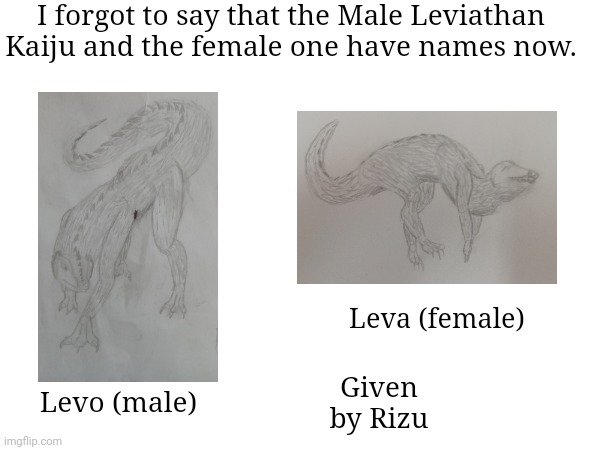 If the people on Asteri would discover the presence of these two. What would they do? | I forgot to say that the Male Leviathan Kaiju and the female one have names now. Leva (female); Given by Rizu; Levo (male) | made w/ Imgflip meme maker