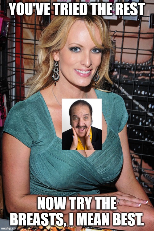 Stormy Daniels | YOU'VE TRIED THE REST NOW TRY THE BREASTS, I MEAN BEST. | image tagged in stormy daniels | made w/ Imgflip meme maker
