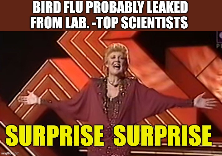 BIRD FLU PROBABLY LEAKED FROM LAB. -TOP SCIENTISTS; SURPRISE  SURPRISE | image tagged in funny memes | made w/ Imgflip meme maker